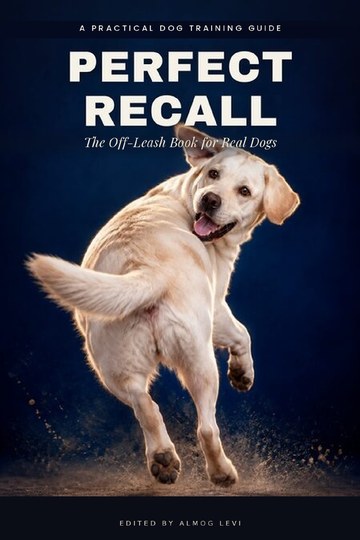 Perfect Recall cover